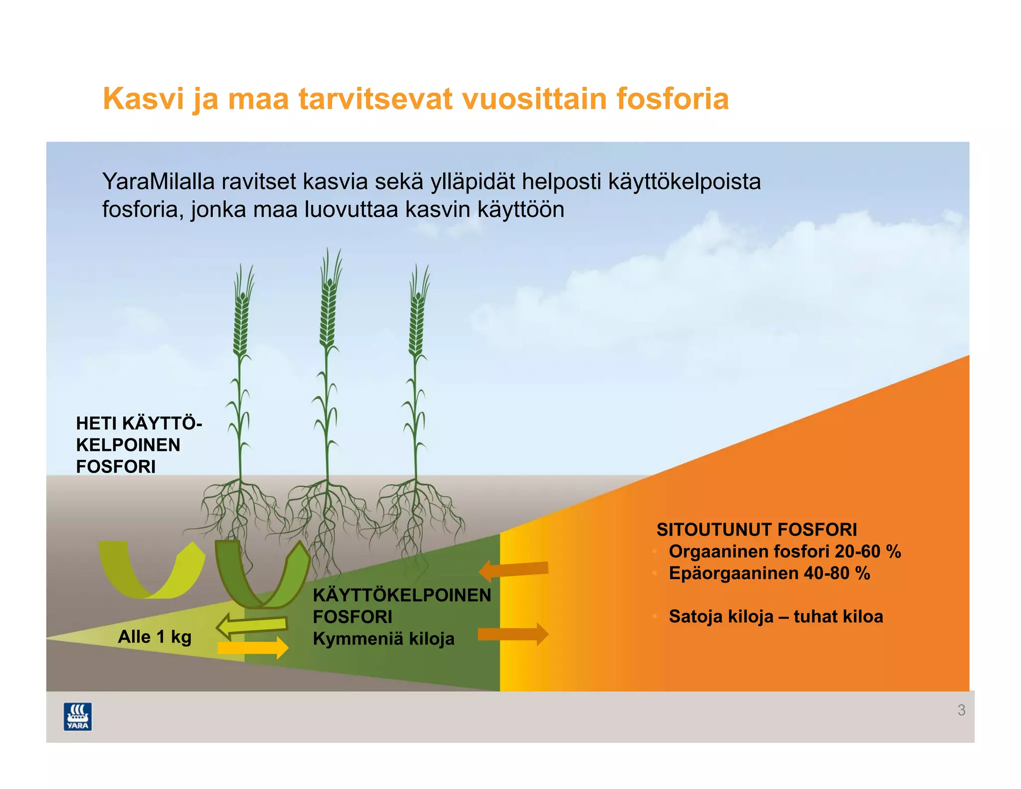 3
Kasvi ja maa tarvitsevat vuosittain fosforia
YaraMilalla ravitset kasvia sekä ylläpidät helposti käyttökelpoista
fosforia, jonka maa luovuttaa kasvin käyttöön
KÄYTTÖKELPOINEN
FOSFORI
Kymmeniä kiloja
HETI KÄYTTÖ-
KELPOINEN
FOSFORI
SITOUTUNUT FOSFORI
• Orgaaninen fosfori 20-60 %
• Epäorgaaninen 40-80 %
• Satoja kiloja – tuhat kiloa
Alle 1 kg
 