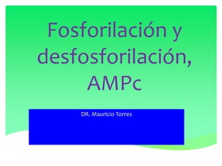 Fosforilación y 
desfosforilación, 
AMPc 
DR. Mauricio Torres 
 