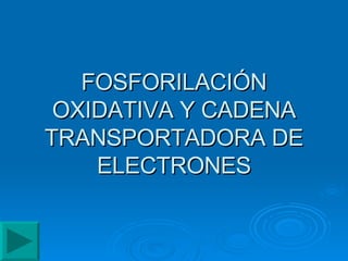 FOSFORILACIÓN OXIDATIVA Y CADENA TRANSPORTADORA DE ELECTRONES 