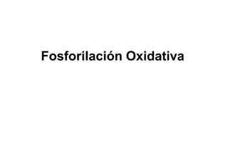 Fosforilación Oxidativa
 