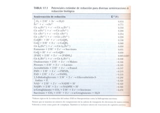 Fosforilacion Oxidativa
