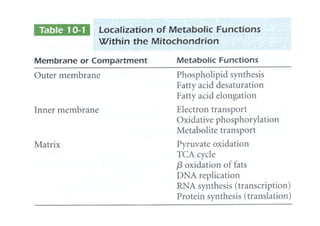 Fosforilacion Oxidativa