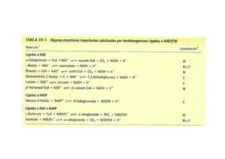 Fosforilacion Oxidativa