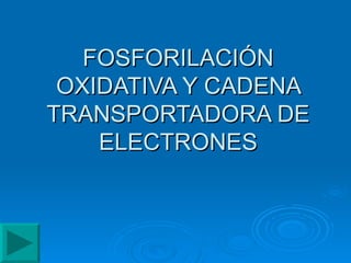 FOSFORILACIÓN OXIDATIVA Y CADENA TRANSPORTADORA DE ELECTRONES 
