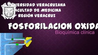 Universidad Veracruzana
Facultad de Medicina
Región Veracruz
Bioquímica clínica
 
