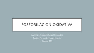 FOSFORILACION OXIDATIVA
Alumno: Armando Rojas Hernandez
Doctor: Fernando Moran Huerdo
Bloque: 208
 