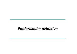 Fosforilación oxidativa
 