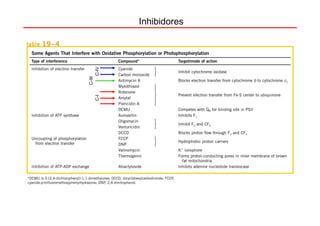 C-III
C-I           C-IV
                     Inhibidores
 