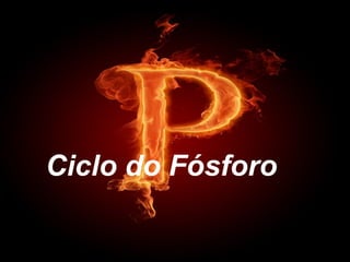 Ciclo do Fósforo
 