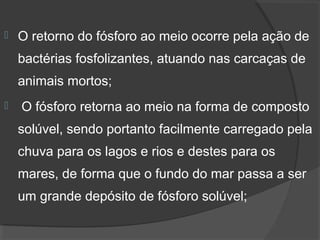    O retorno do fósforo ao meio ocorre pela ação de 
    bactérias fosfolizantes, atuando nas carcaças de 
    animais mortos;
    O fósforo retorna ao meio na forma de composto 
    solúvel, sendo portanto facilmente carregado pela 
    chuva para os lagos e rios e destes para os 
    mares, de forma que o fundo do mar passa a ser 
    um grande depósito de fósforo solúvel;
 