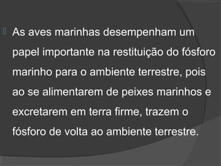    As aves marinhas desempenham um 
    papel importante na restituição do fósforo 
    marinho para o ambiente terrestre, pois 
    ao se alimentarem de peixes marinhos e 
    excretarem em terra firme, trazem o 
    fósforo de volta ao ambiente terrestre.
 