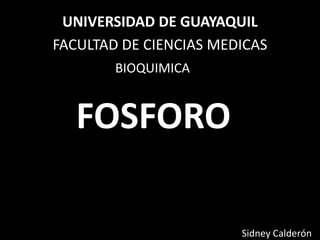 UNIVERSIDAD DE GUAYAQUIL
FACULTAD DE CIENCIAS MEDICAS
        BIOQUIMICA


   FOSFORO

                        Sidney Calderón
 