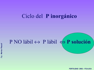 Ciclo del  P inorgánico     P NO lábil     P lábil     P solución <ul><ul><li>Tabla 2. Estimación de balances de nitróge...