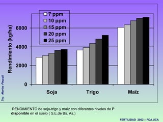RENDIMIENTO de soja-trigo y maíz con diferentes niveles de  P disponible  en el suelo ( S.E.de Bs. As.)  
