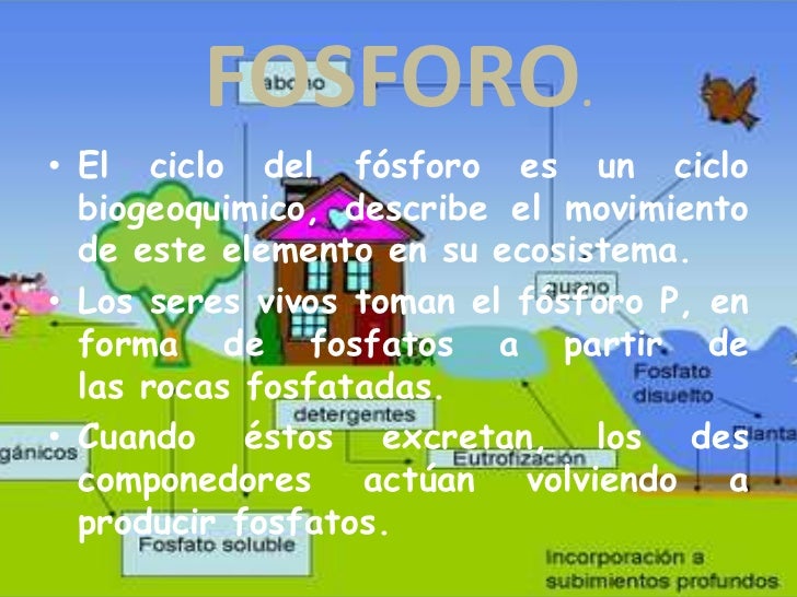 Fosforo Y Azufre