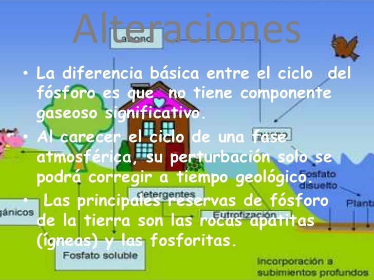 Fosforo Y Azufre
