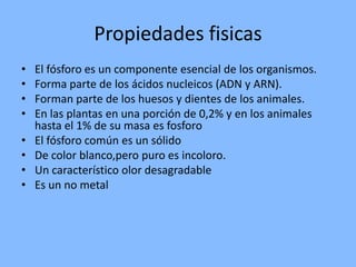 Propiedades fisicasEl fósforo es un componente esencial de los organismos.Forma parte de los ácidos nucleicos (ADN y ARN). Forman parte de los huesos y dientes de los animales.En las plantas en una porción de 0,2% y en los animales hasta el 1% de su masa es fosforo El fósforo común es un sólidoDe color blanco,pero puro es incoloro.Un característico olor desagradable Es un no metal