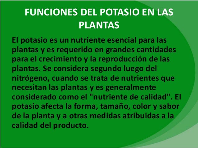 La información encima de metabolismo basal que es