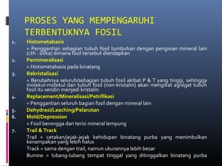 PROSES YANG MEMPENGARUHI
TERBENTUKNYA FOSIL
1. Histometabasis
= Penggantian sebagian tubuh fosil tumbuhan dengan pengisian mineral lain
(cth : silika) dimana fosil tersebut diendapkan
2. Permineralisasi
= Histometabasis pada binatang
3. Rekristalisasi
= Berubahnya seluruh/sebagian tubuh fosil akibat P & T yang tinggi, sehingga
molekul-molekul dari tubuh fosil (non-kristalin) akan mengikat agregat tubuh
fosil itu sendiri menjadi kristalin
4. Replacement/Mineralisasi/Petrifikasi
= Penggantian seluruh bagian fosil dengan mineral lain
5. Dehydrasi/Leaching/Pelarutan
6. Mold/Depression
= Fosil berongga dan terisi mineral lempung
7. Trail & Track
Trail = cetakan/jejak-jejak kehidupan binatang purba yang menimbulkan
kenampakan yang lebih halus
Track = sama dengan trail, namun ukurannya lebih besar
Burrow = lubang-lubang tempat tinggal yang ditinggalkan binatang purba
 