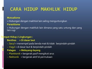 CARA HIDUP MAKHLUK HIDUP
1. Mutualisme
= Hubungan dengan makhluk lain saling menguntungkan
2. Parasitisme
= Hubungan dengan makhluk lain dimana yang satu untung dan yang
lain rugi
Tempat Hidup / Lingkungan :
1. Benthos > Di dasar laut
-. Secyl = menempel pada benda mati & tidak berpindah-pindah
-. Vagyl = di dasar laut & berpindah-pindah
2. Pelagos > Melayang-layang
-. Planktonik = bergerak pasif mengikuti arus
-. Nektonik = bergerak aktif di permukaan
 