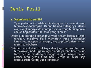 Jenis Fosil
1. Organisme itu sendiri
Tipe pertama ini adalah binatangnya itu sendiri yang
terawetkan/tersimpan. Dapat beruba tulangnya, daun-
nya, cangkangnya, dan hampir semua yang tersimpan ini
adalah bagian dari tubuhnya yang “keras”.
Dapat juga berupa binatangnya yang secara lengkap (utuh)
tersipan. misalnya Fosil Mammoth yang terawetkan
karena es, ataupun serangga yang terjebak dalam amber
(getah tumbuhan).
Petrified wood atau fosil kayu dan juga mammoths yang
terbekukan, and juga mungkin anda pernah lihat dalam
filem berupa binatang serangga yang tersimpan dalam
amber atau getah tumbuhan. Semua ini biasa saja
berupa asli binatang yang tersimpan
 