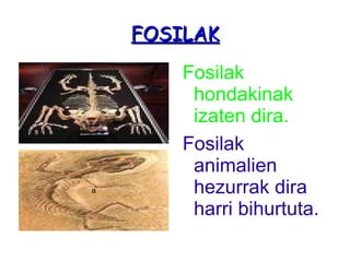 FOSILAK ,[object Object]