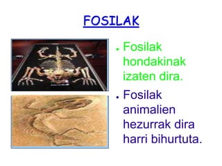FOSILAKFosilak hondakinak izaten dira.Fosilak animalien hezurrak dira harri bihurtuta.