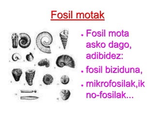 Fosil motakFosil mota asko dago, adibidez:fosil biziduna,mikrofosilak,ikno-fosilak...