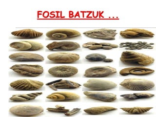 FOSIL BATZUK ...