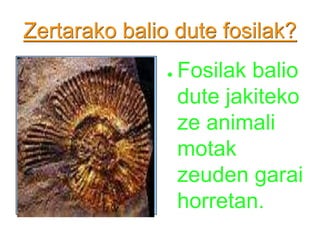 Zertarako balio dute fosilak?Fosilak balio dute jakiteko ze animali motak zeuden garai horretan.