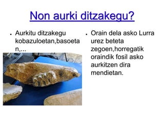 Non aurki ditzakegu?Aurkitu ditzakegu kobazuloetan,basoetan,...Orain dela asko Lurra urez beteta zegoen,horregatik oraindik fosil asko aurkitzen dira mendietan.