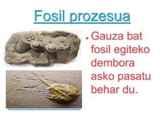Fosil prozesuaGauza bat fosil egiteko dembora asko pasatu behar du.