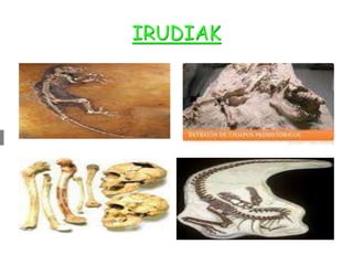 IRUDIAK