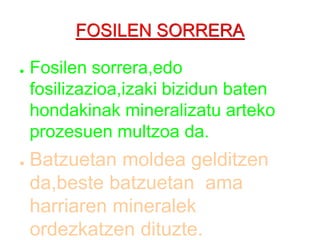 FOSILEN SORRERAFosilen sorrera,edo fosilizazioa,izaki bizidun baten hondakinak mineralizatu arteko prozesuen multzoa da.Batzuetan moldea gelditzen da,beste batzuetan  ama harriaren mineralek ordezkatzen dituzte.