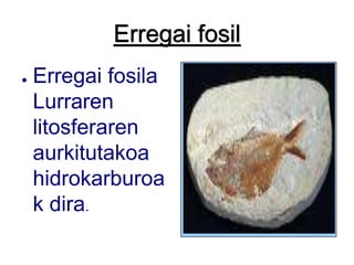 Erregai fosilErregai fosila Lurraren litosferaren aurkitutakoa hidrokarburoak dira.