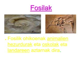 FosilakFosilik ohikoenak animalienhezurdurak eta oskolak eta landareen aztarnak dira.