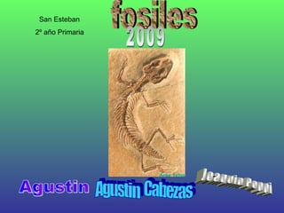 fosiles  Agustin Agustin  Cabezas Joaquin Poppi San Esteban 2º año Primaria 2009 
