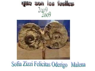 que  son  los  fosiles 2oo9 Sofia Zizzi Felicitas Oderigo  Malena  
