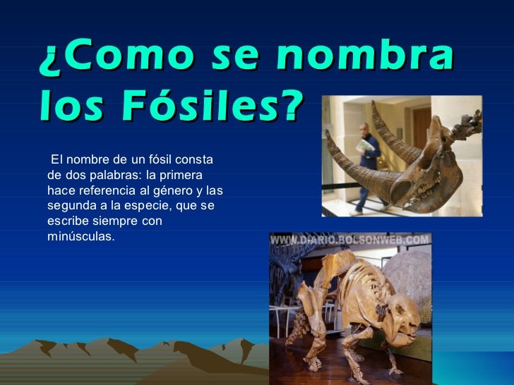 Fosiles
