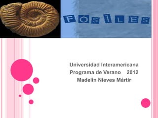 Universidad Interamericana
Programa de Verano 2012
Madelin Nieves Mártir
 