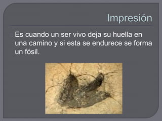 Es cuando un ser vivo deja su huella en
una camino y si esta se endurece se forma
un fósil.
 