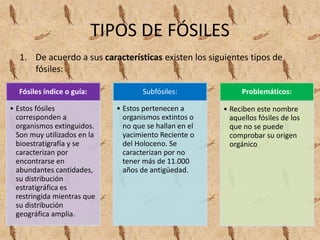 TIPOS DE FÓSILES
1. De acuerdo a sus características existen los siguientes tipos de
fósiles:
Fósiles índice o guía:
• Estos fósiles
corresponden a
organismos extinguidos.
Son muy utilizados en la
bioestratigrafía y se
caracterizan por
encontrarse en
abundantes cantidades,
su distribución
estratigráfica es
restringida mientras que
su distribución
geográfica amplia.
Subfósiles:
• Estos pertenecen a
organismos extintos o
no que se hallan en el
yacimiento Reciente o
del Holoceno. Se
caracterizan por no
tener más de 11.000
años de antigüedad.
Problemáticos:
• Reciben este nombre
aquellos fósiles de los
que no se puede
comprobar su origen
orgánico
 
