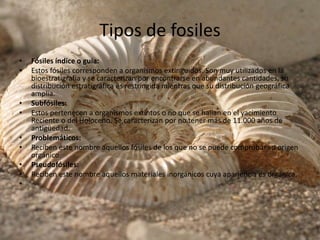 Tipos de fosiles 
• Fósiles índice o guía: 
• Estos fósiles corresponden a organismos extinguidos. Son muy utilizados en la 
bioestratigrafía y se caracterizan por encontrarse en abundantes cantidades, su 
distribución estratigráfica es restringida mientras que su distribución geográfica 
amplia. 
• Subfósiles: 
• Estos pertenecen a organismos extintos o no que se hallan en el yacimiento 
Reciente o del Holoceno. Se caracterizan por no tener más de 11.000 años de 
antigüedad. 
• Problemáticos: 
• Reciben este nombre aquellos fósiles de los que no se puede comprobar su origen 
orgánico. 
• Pseudofósiles: 
• Reciben este nombre aquellos materiales inorgánicos cuya apariencia es orgánica. 
• 
 