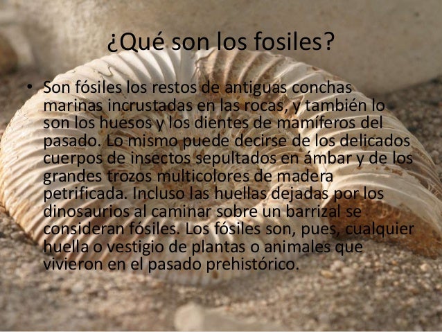 fosiles son