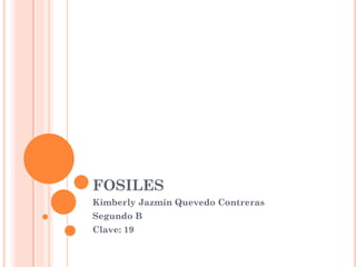 FOSILES
Kimberly Jazmín Quevedo Contreras
Segundo B
Clave: 19
 
