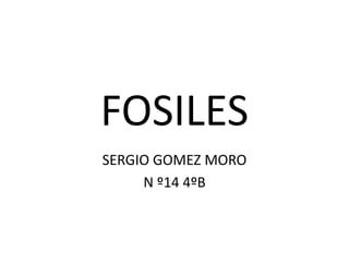 FOSILES
SERGIO GOMEZ MORO
N º14 4ºB
 