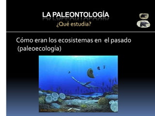 LA PALEONTOLOGÍA
¿Qué estudia?

Cómo eran los ecosistemas en el pasado
(paleoecología)

 