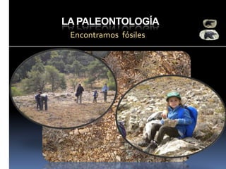 LA PALEONTOLOGÍA
Encontramos fósiles

 