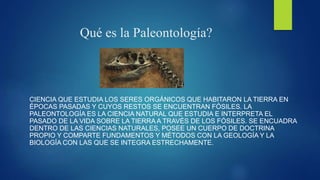 Qué es la Paleontología?
CIENCIA QUE ESTUDIA LOS SERES ORGÁNICOS QUE HABITARON LA TIERRA EN
ÉPOCAS PASADAS Y CUYOS RESTOS SE ENCUENTRAN FÓSILES. LA
PALEONTOLOGÍA ES LA CIENCIA NATURAL QUE ESTUDIA E INTERPRETA EL
PASADO DE LA VIDA SOBRE LA TIERRA A TRAVÉS DE LOS FÓSILES.​ SE ENCUADRA
DENTRO DE LAS CIENCIAS NATURALES, POSEE UN CUERPO DE DOCTRINA
PROPIO Y COMPARTE FUNDAMENTOS Y MÉTODOS CON LA GEOLOGÍA Y LA
BIOLOGÍA CON LAS QUE SE INTEGRA ESTRECHAMENTE.
 
