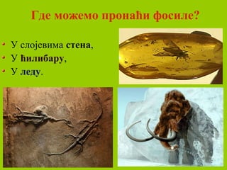 Где можемо пронаћи фосиле?
У слојевима стена,
У ћилибару,
У леду.
 